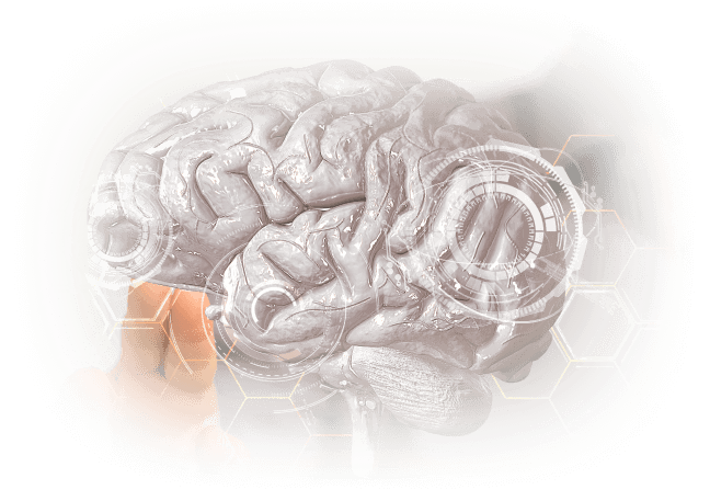 brain bg
